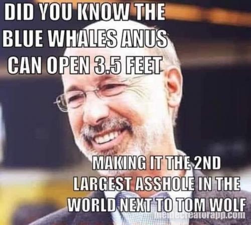 23:29:18 GMT-0500 (EST).image