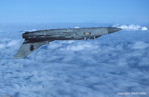 133563531_3411876325587391_5309503402088132124_o