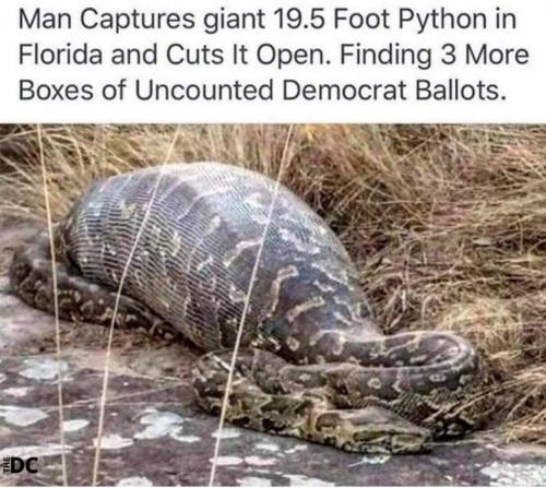 18:25:24 GMT-0800 (PST)