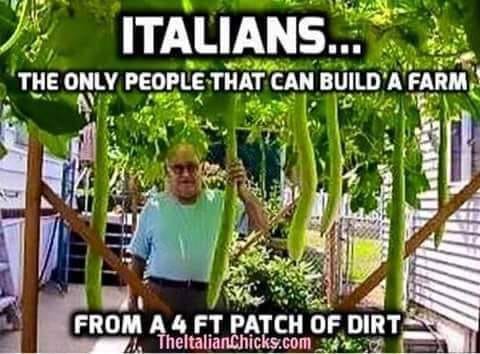 ITALIAN FARM