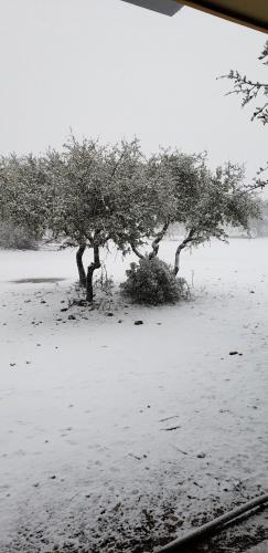 16:40:44 GMT-0600 (CST)