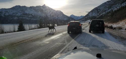 David Thompson highway