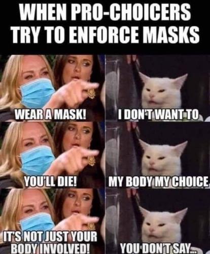 132033821_10213959051849602_6767833213583506197_n