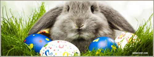 13213-easter-bunny
