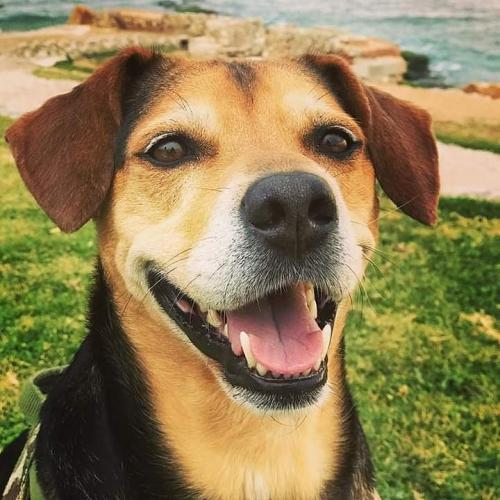 10:16:50 GMT+0100 (WAT)