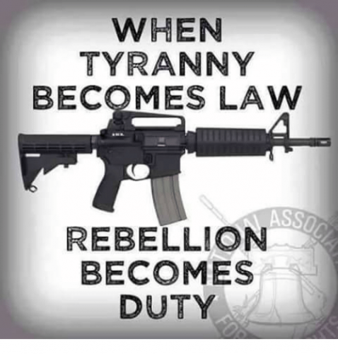 when-tyranny-becomes-law-rebellion-becomes-duty-6088151