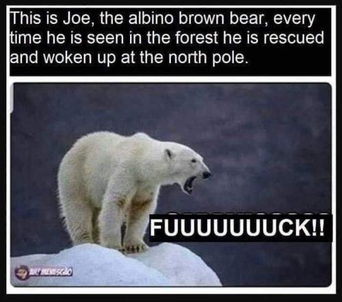 04:55:01 GMT-0600 (CST)