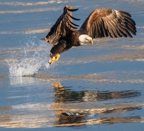 131479769_1299023330453300_106481822716928994_o