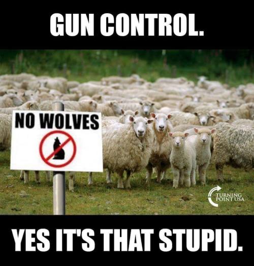 113C84F2-0177-4C95-A494-F91089184CE7