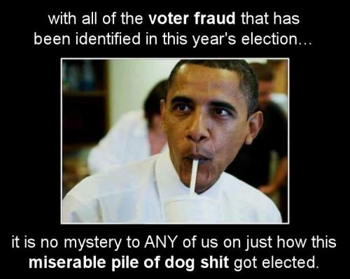 voterfraud111