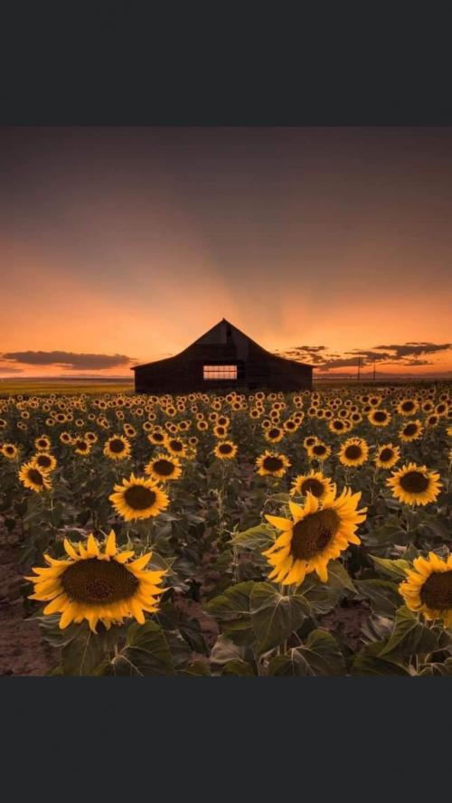 09:08:17 GMT-0500 (EST).image