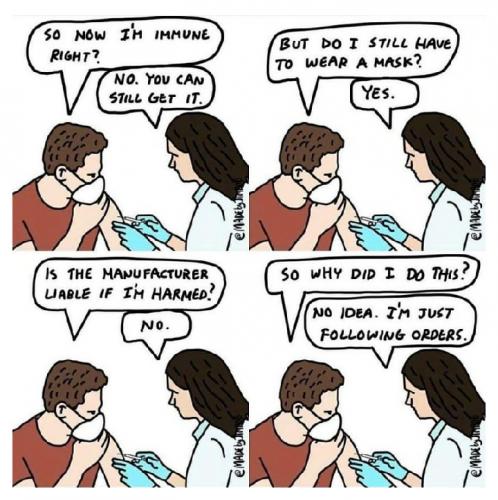 131891882_3668333989876086_6496374603168278740_n