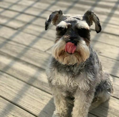 02:26:06 GMT+0100 (WAT).image