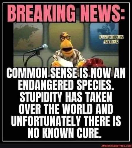 22:06:39 GMT-0800 (PST).image