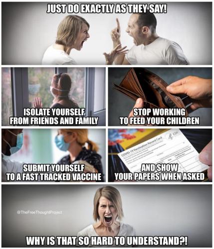 131771070_2447935675513632_7859059085767591478_o