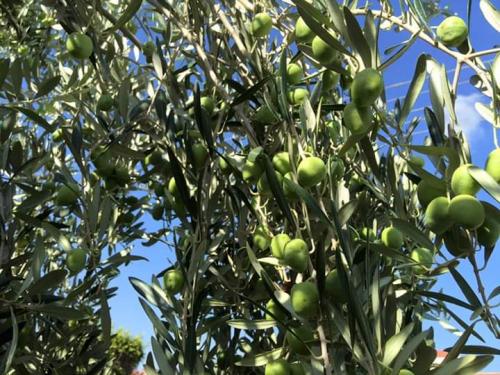 23:19:42 GMT+0100 (WAT)