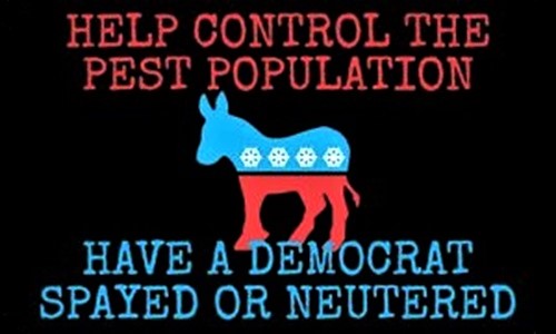 spayed or neutered