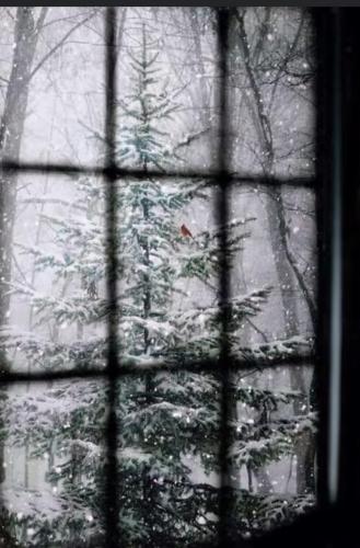 14:20:50 GMT-0600 (CST).image