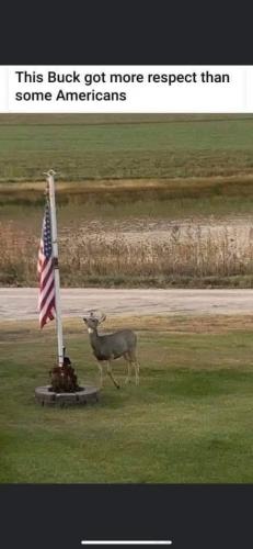 08:35:44 GMT-0700 (MST).image