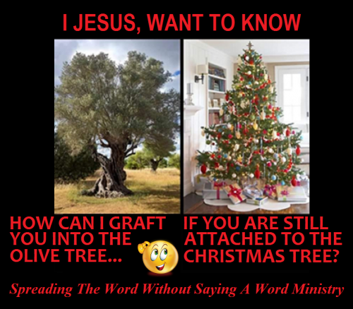 128786952_1578618215654202_8867033827835409471_n