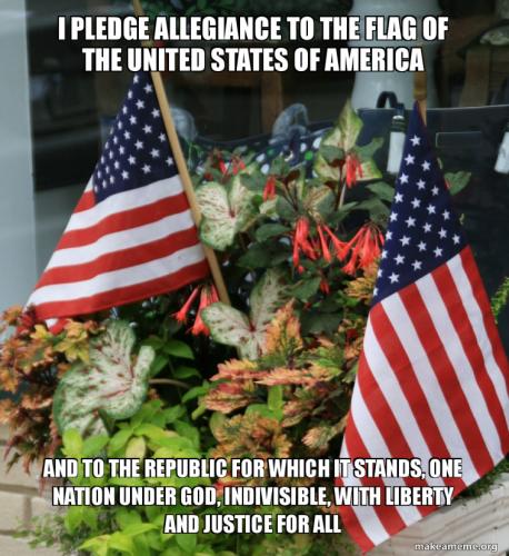i-pledge-allegiance-255d17df15