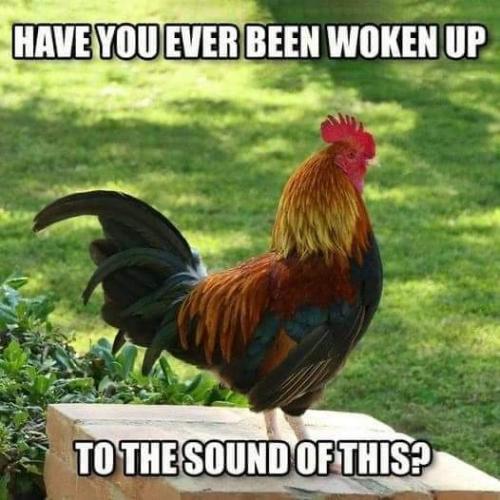 08:00:12 GMT-0600 (CST)