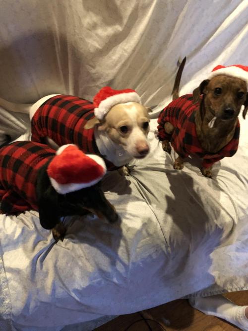 E67AA6D6-999D-4D81-AA9A-B8F620EDD80D