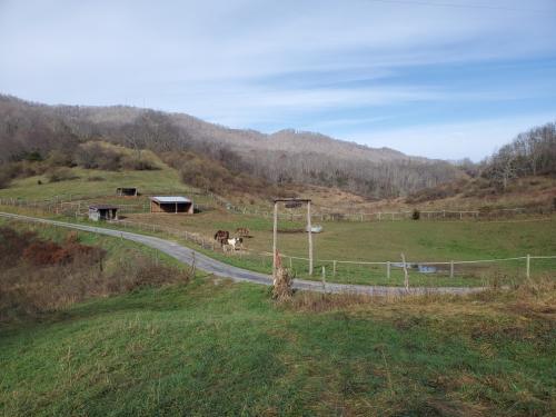 21:43:41 GMT-0500 (EST)