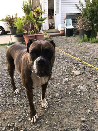 17:16:40 GMT+0100 (WAT).image