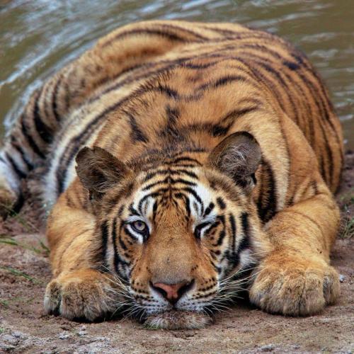 132275219_3643417075766293_5986062161730276394_o