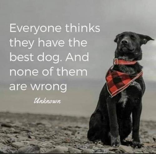 06:26:25 GMT-0500 (EST)