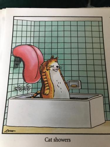 134242803_10158520181094961_1132497871481836930_n