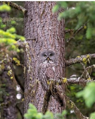 132958466_3726177030791731_8494449121450958924_o