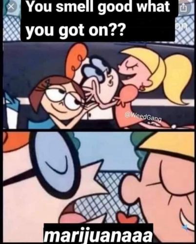 15:17:26 GMT-0500 (EST).image