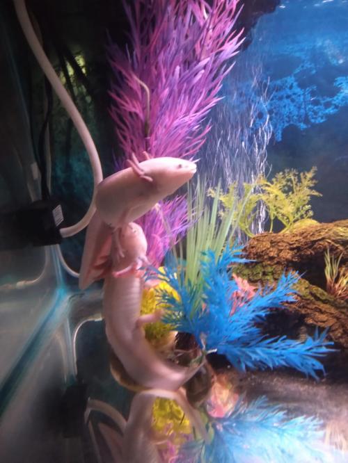 10:18:15 GMT+0100 (WAT)