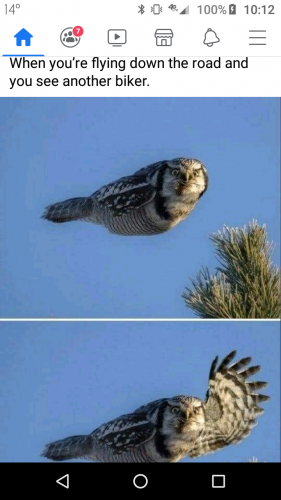 09:10:28 GMT-0900 (AKST)