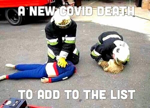 116274601_590678748305902_5119613840914826336_n