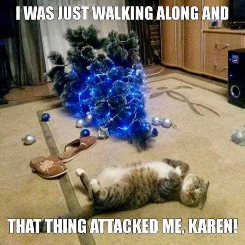 78930017_1504318729706348_2065230050709471232_n