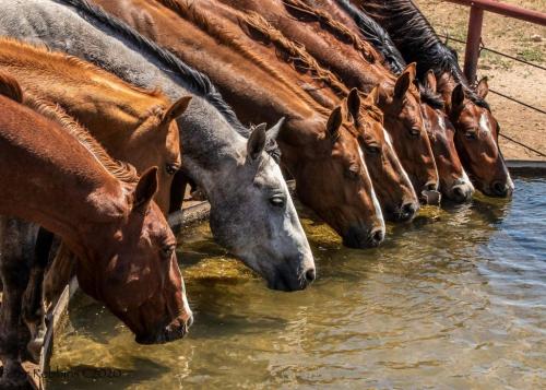 133362774_3617127648369291_3064894748186448736_o