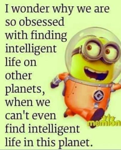 18:41:55 GMT-0500 (EST).image