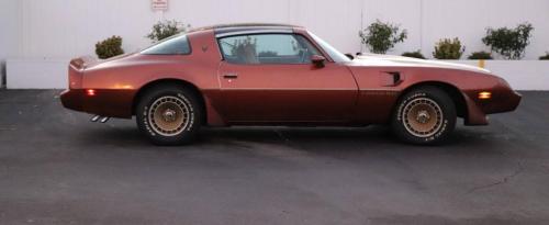 129775976_3666497643411869_5088276441669761639_o