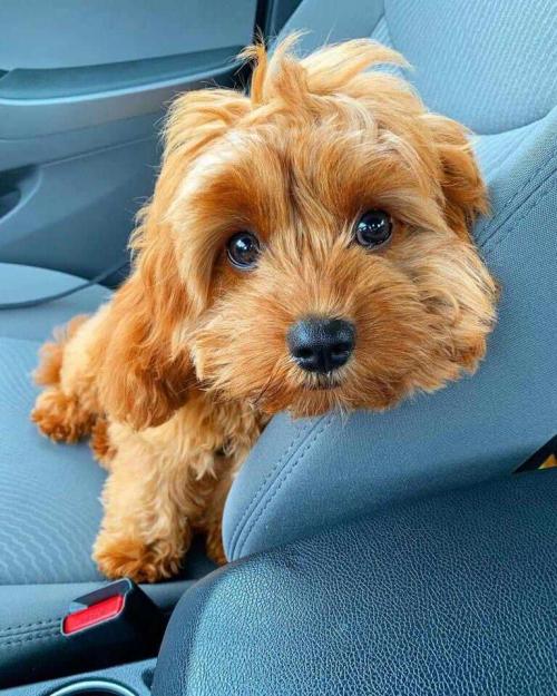 23:58:56 GMT+0100 (WAT).image