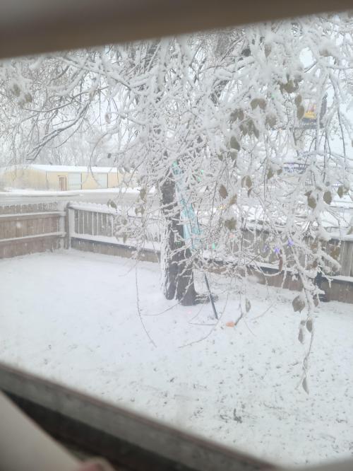 07:20:49 GMT-0600 (CST)