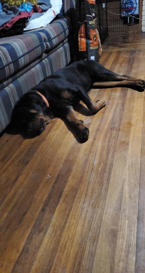 08:07:32 GMT-0800 (PST)