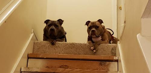 14:09:23 GMT-0600 (CST)