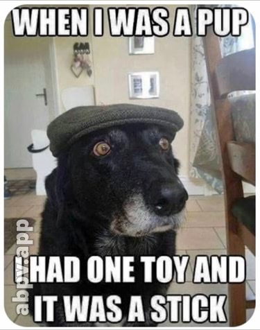 00:42:31 GMT-0600 (CST).image