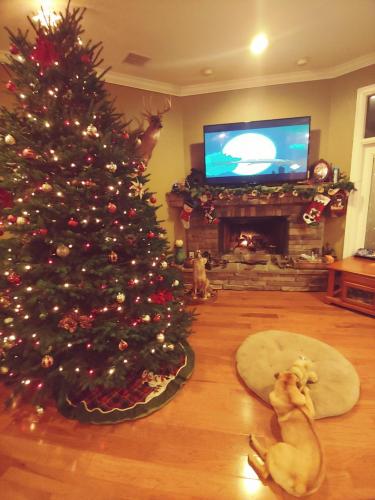 19:07:09 GMT-0500 (EST)