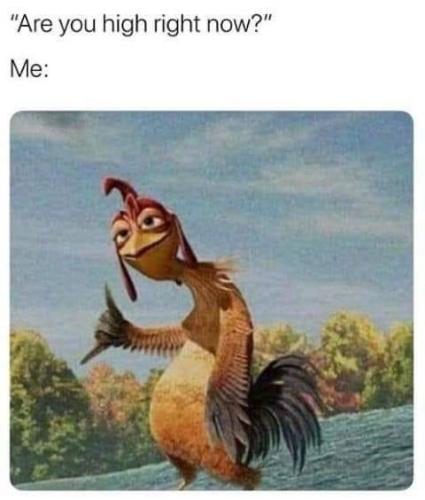 06:44:34 GMT-0500 (EST).image