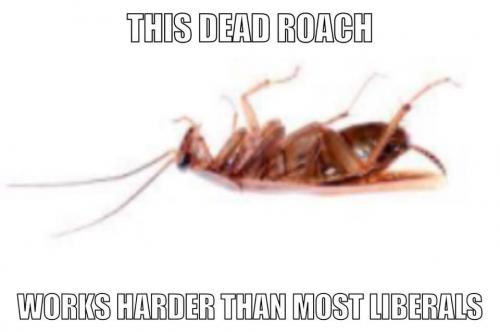 23:55:06 GMT-0800 (PST).image