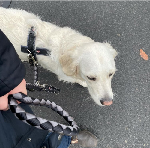 22:53:00 GMT+0100 (WAT).png